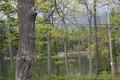 Potential For Private Dock and Float!